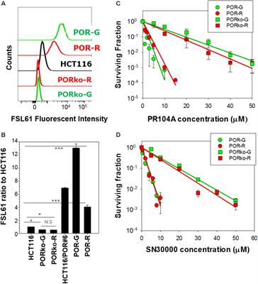 Bystander Effects of Hypoxia-Activated <mark class="highlighted">Prodrugs</mark>: Agent-Based Modeling Using Three Dimensional Cell Cultures